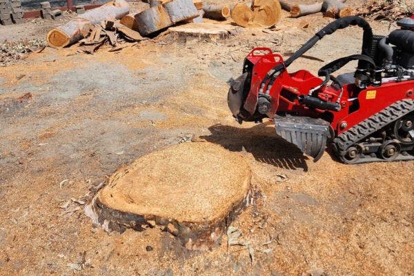 Stump Grinding & Removal