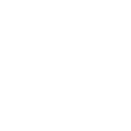 FACCHINAGGIO E TRASLOCHI