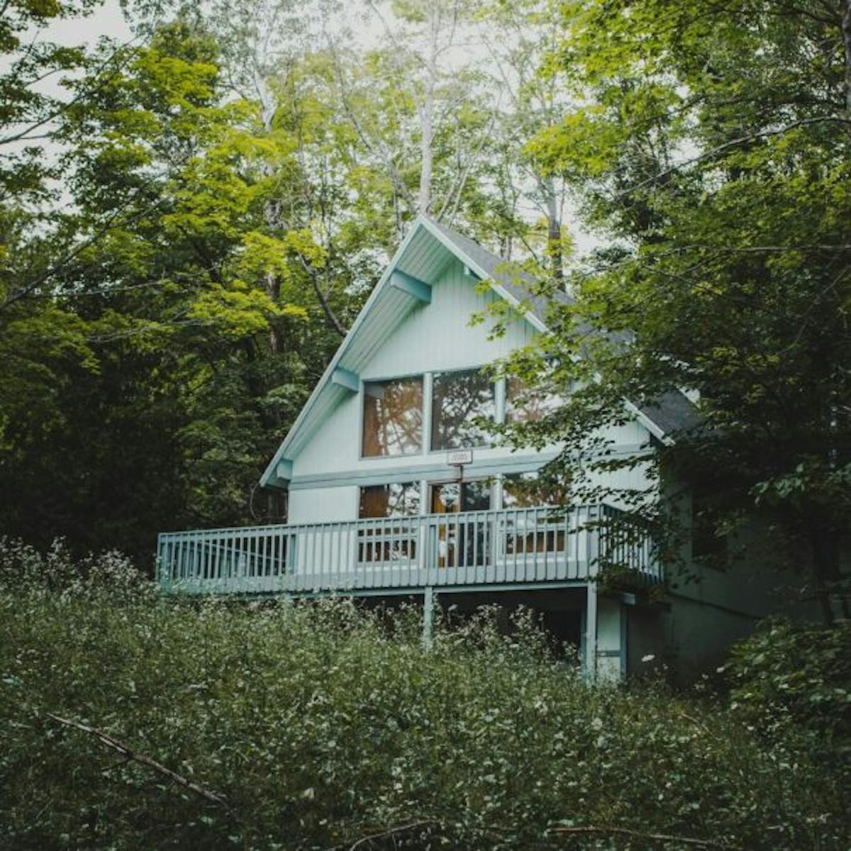 THE CABIN