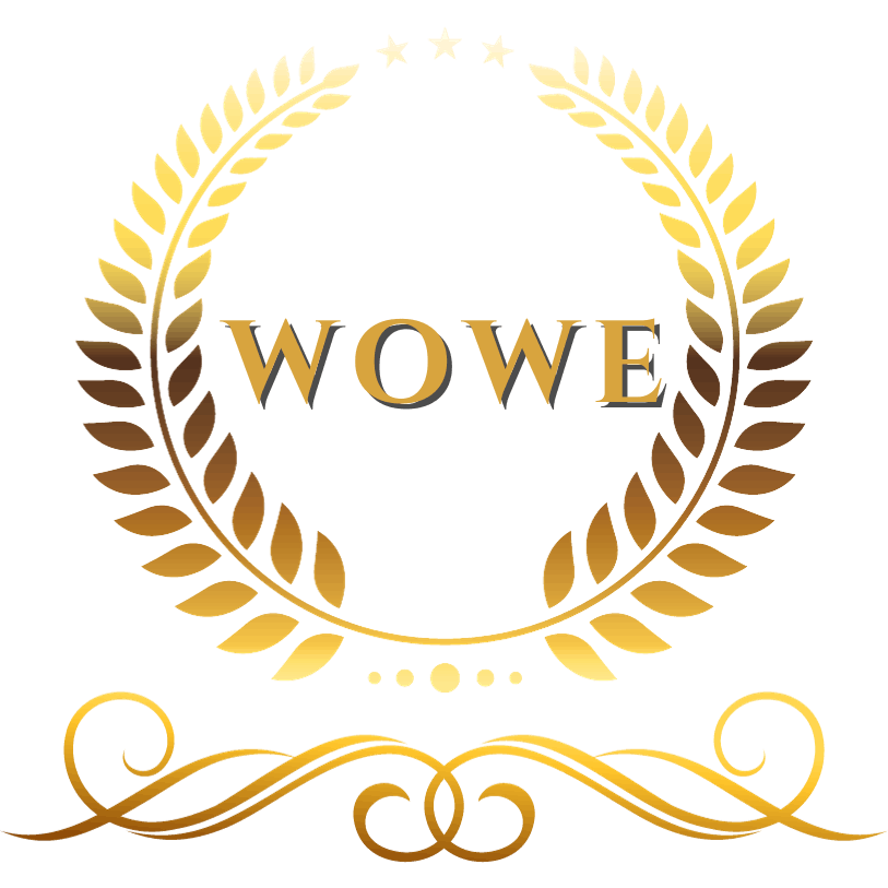 The WOWE Factor Academy