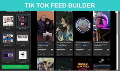 TikTok Feed Builder