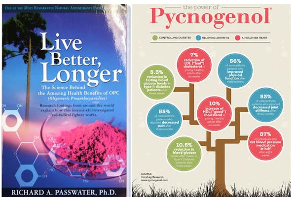 The Power Of Pycnogenol