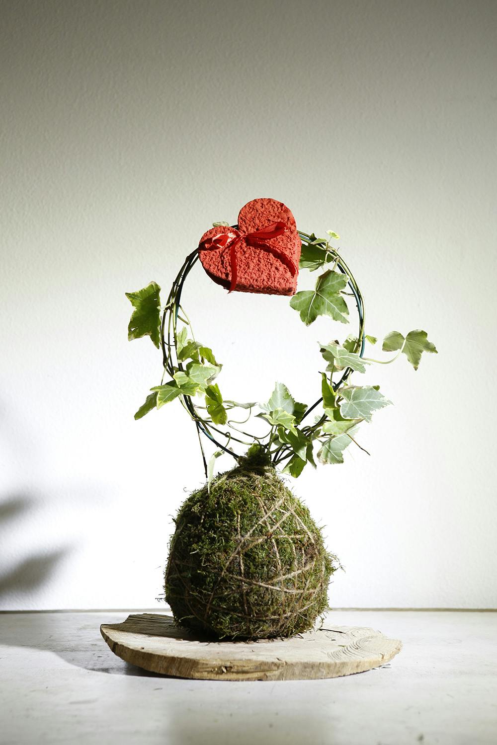 kokedama
