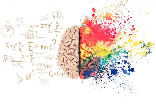 SKD-Color Palette Brain Graphic