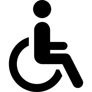Accesso Disabili