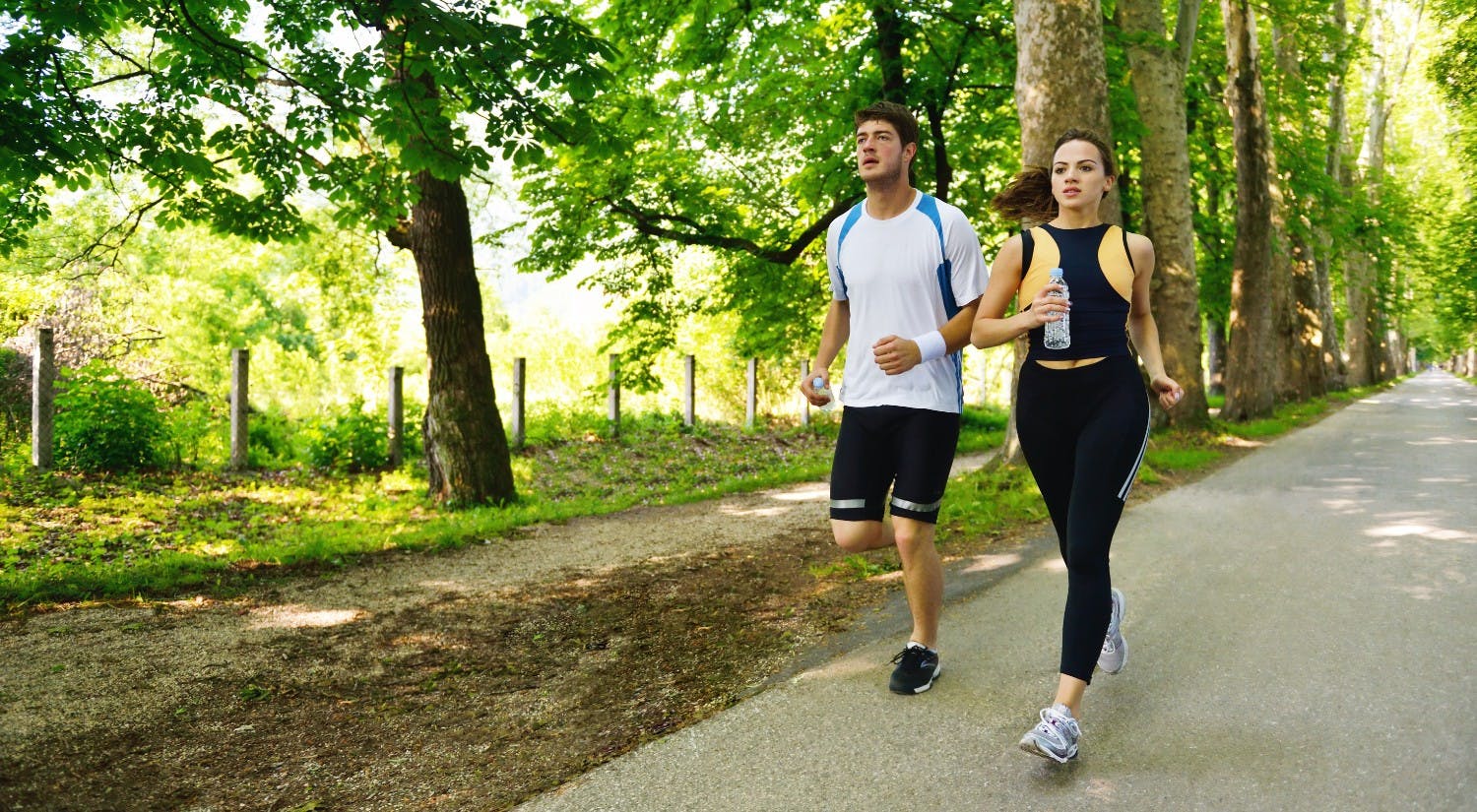 OrderOPC.com  1/26/2025