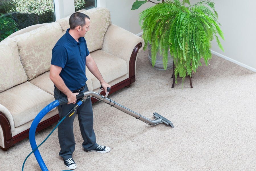 Carpet & Upholstery Allergen Service