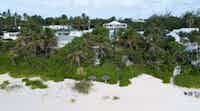 Vacation Rentals in Harbour Island Bahamas
