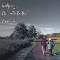 The Power of Walking: How Regular Strolls Improve Your Health