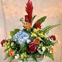 Where Elegance Bloom: Discover the Best Flower Shops Nassau Bahamas