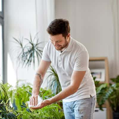 La Tua Pianta Sta Male? La Curo Io!