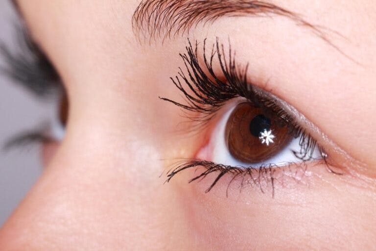 Lacrimal investigation