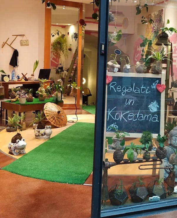 Laboratorio kokedama Bergamo