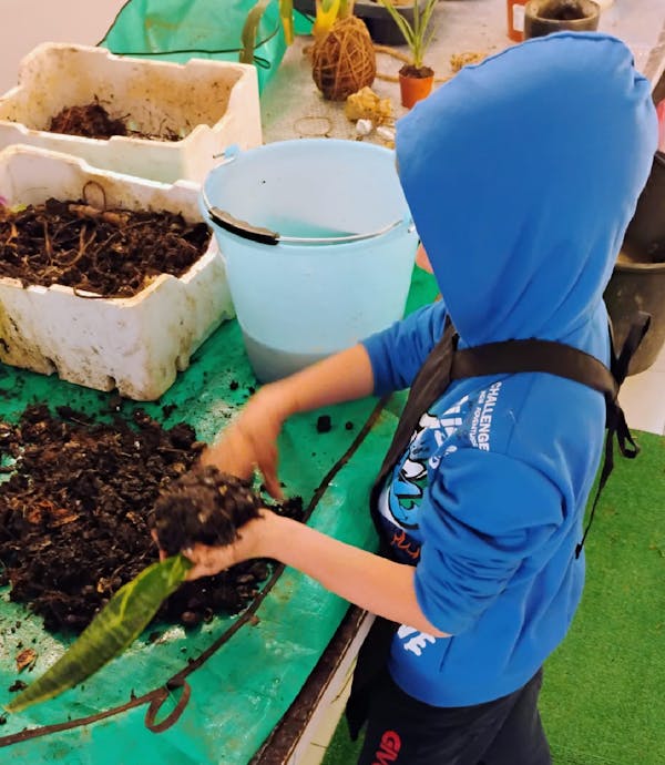 corso kokedama per bambini