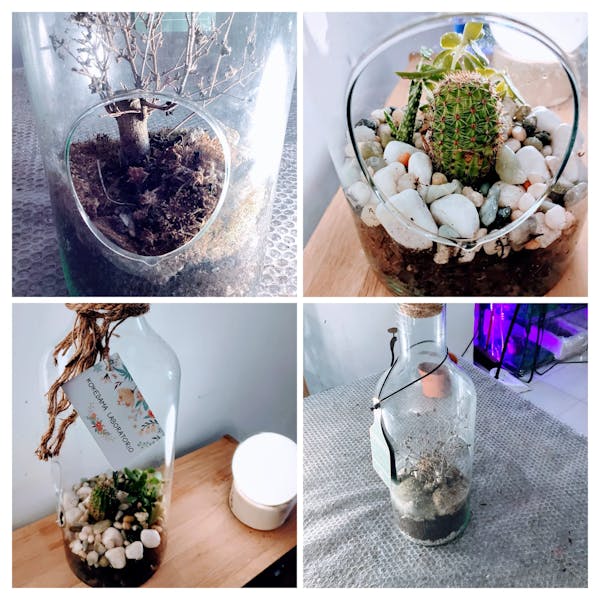 Restyling Terrarium