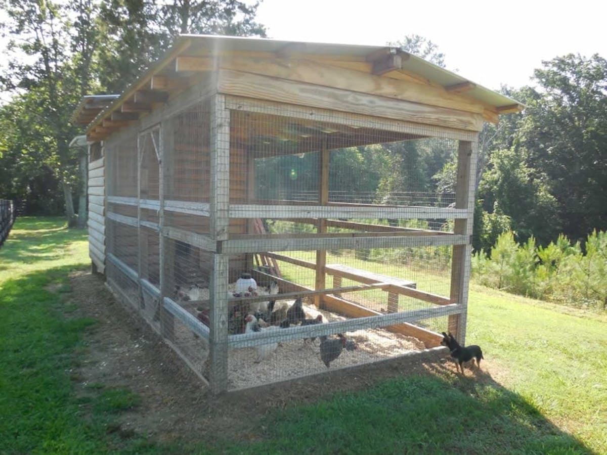 Chicken Coops & More...