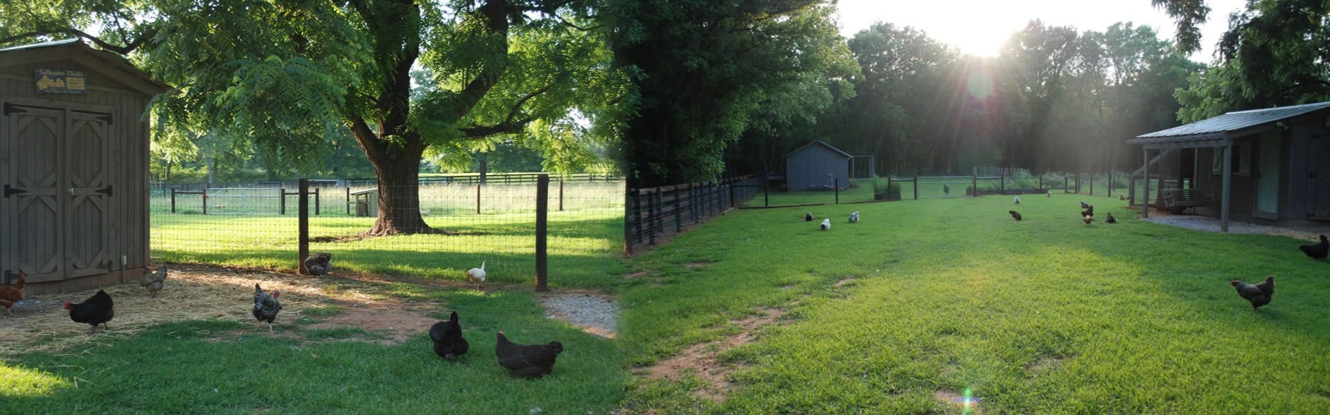 Our Fencing Services