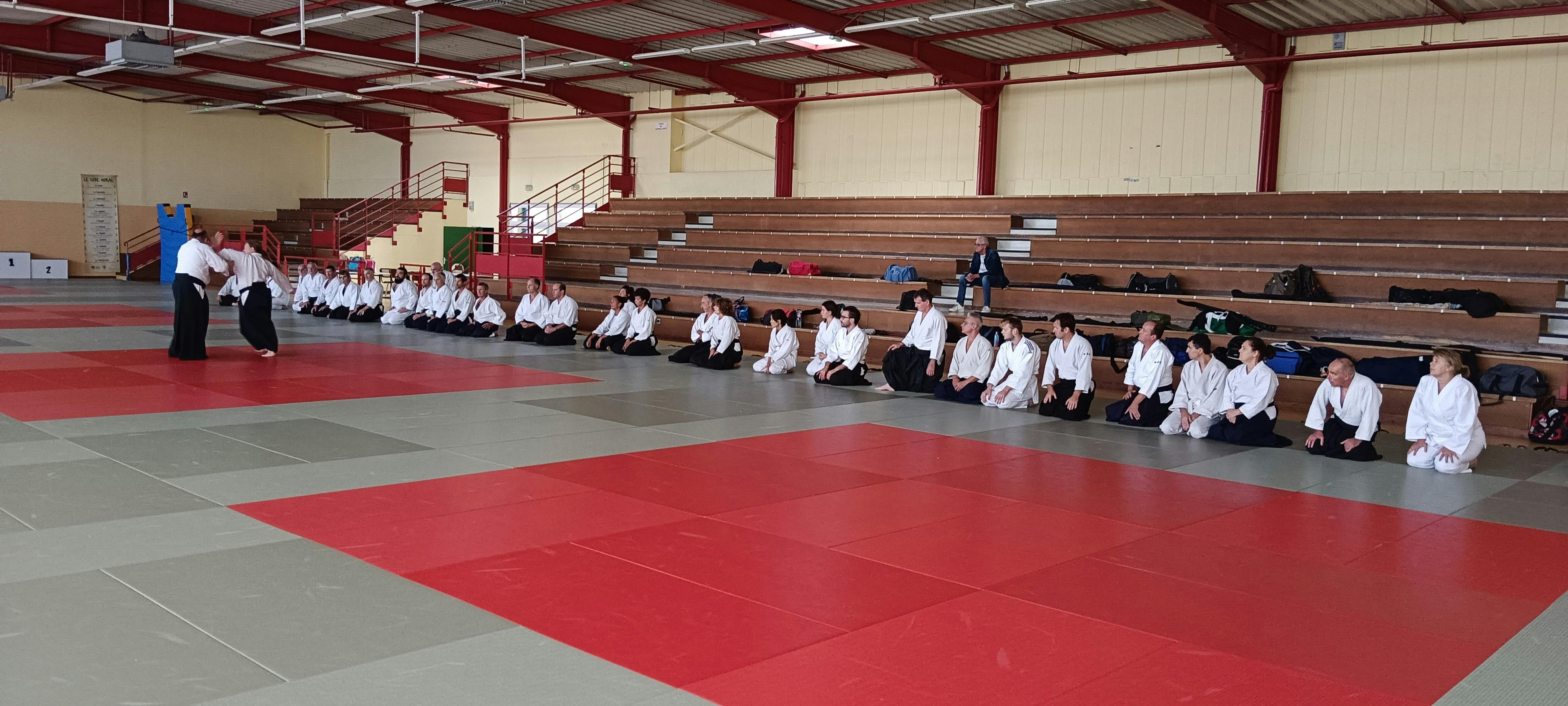 Stage Didier Pénissard au dojo leo Lagrange