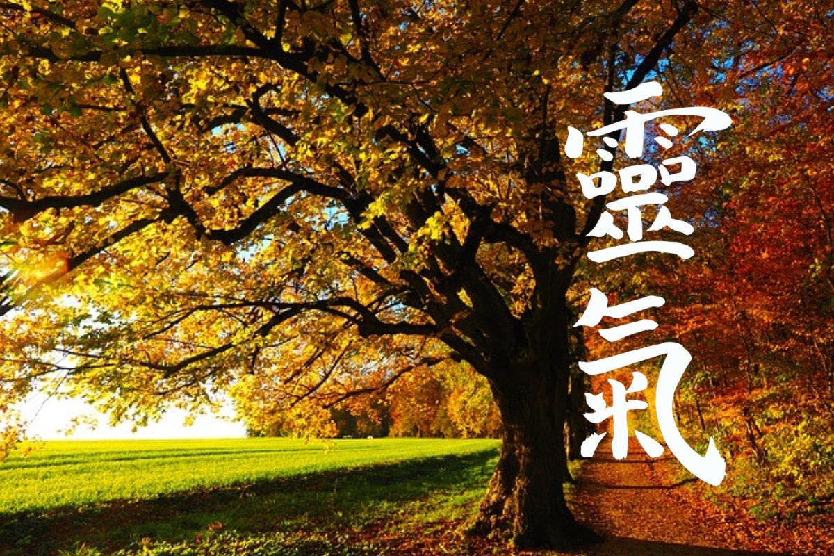 Secondo Livello Reiki Metodo Usui