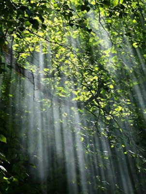 Energetica - Spirituale