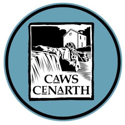 Caws Cenarth Cheese