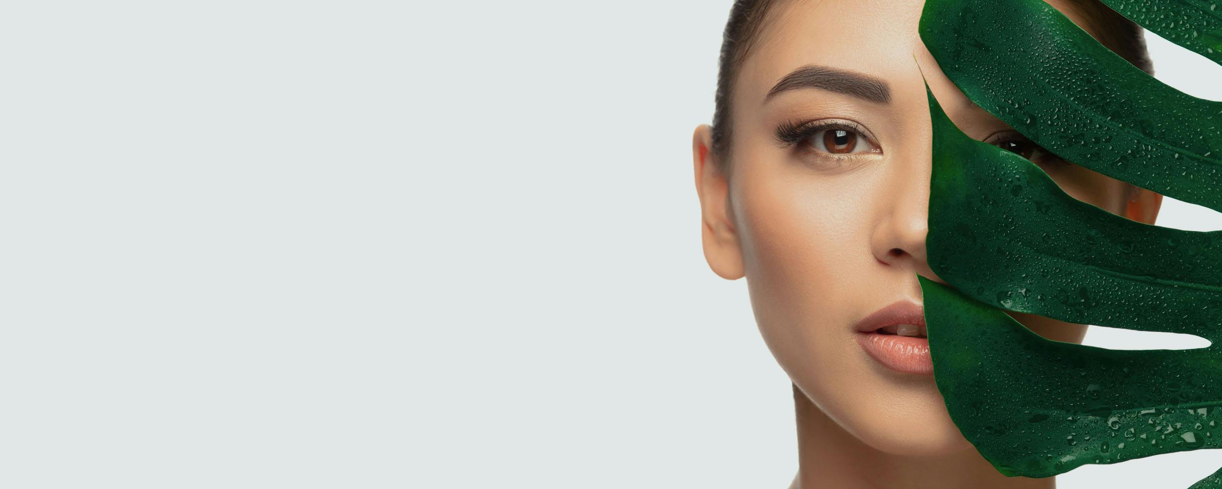 Kige-Line / La linea