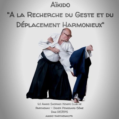 Techniques d'Aikido présentées par Didier Pénissard, enseignant à Parthenay