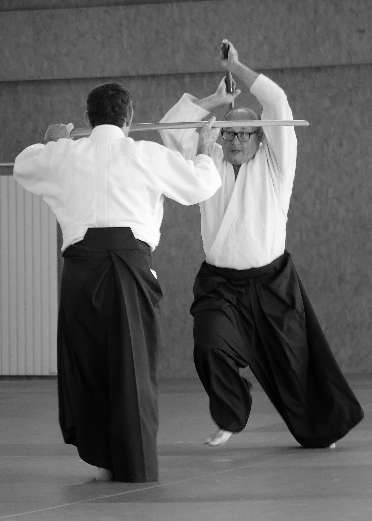 Techniques d'Aikido présentées par Didier Pénissard, enseignant à Parthenay