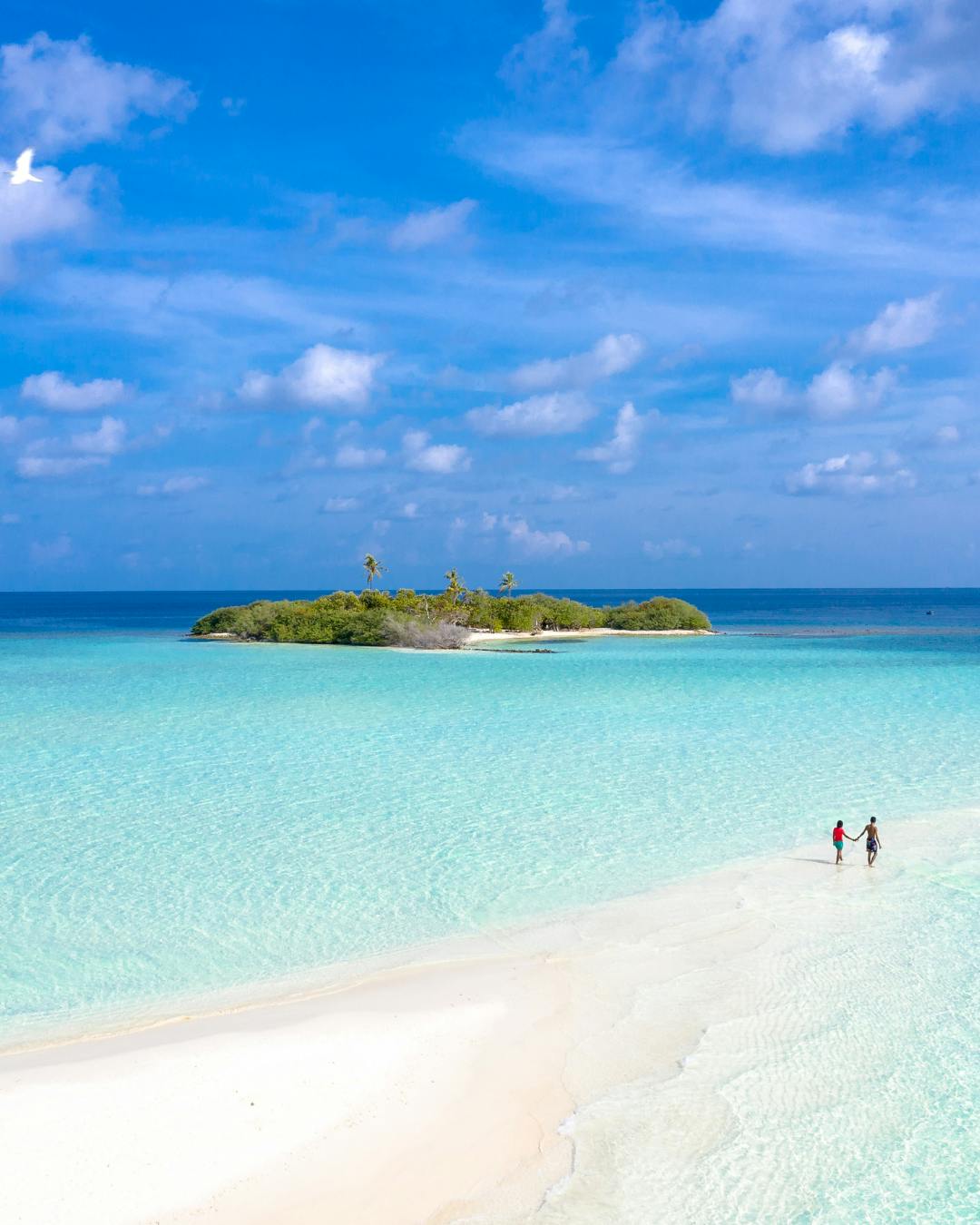 Maldive