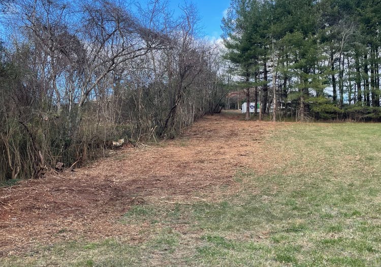 Forestry Mulching