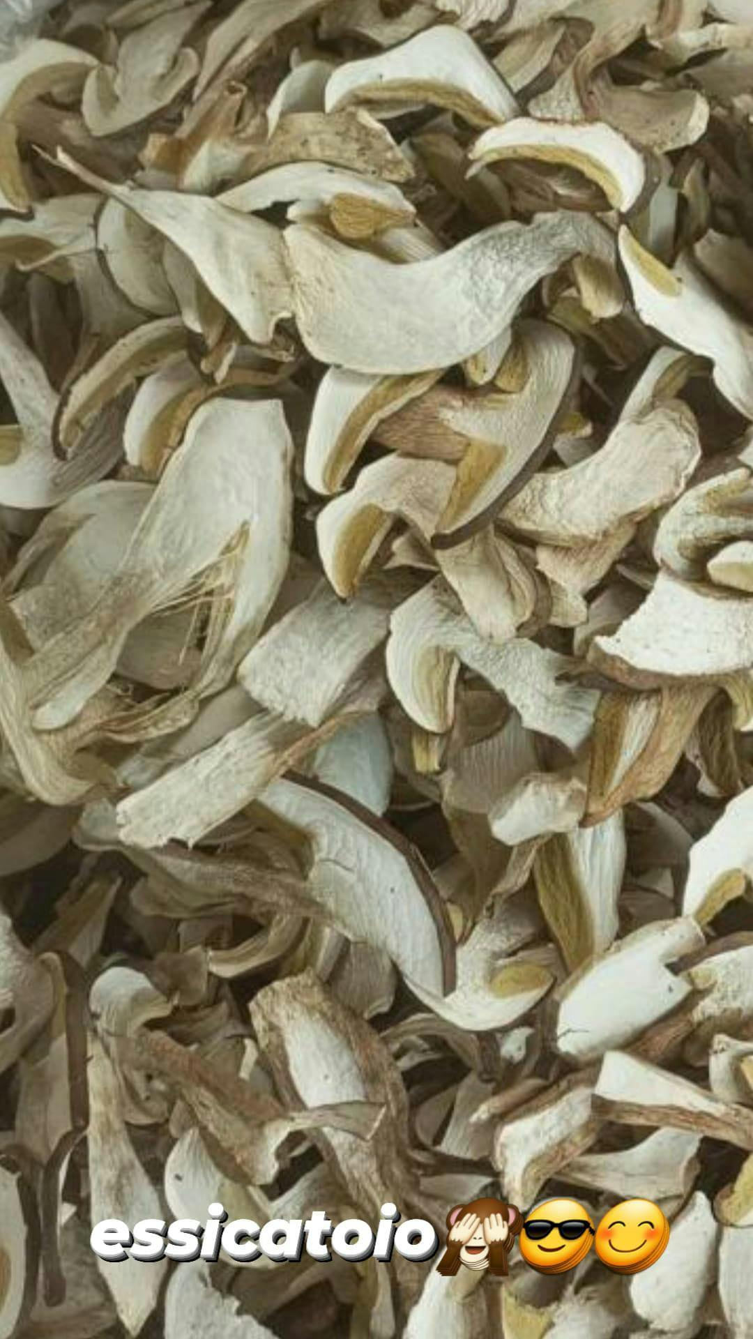 Funghi Porcini Secchi