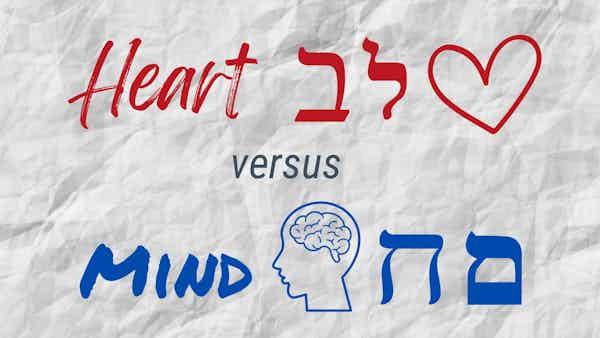 Lev לֵב, Heart vs Moach מַחַ, Mind 