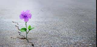 The Hope Of The Gospel