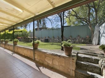 Peter Thomas (Buyer)