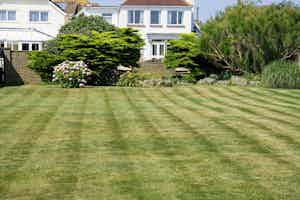 Lawn Care And Turfing!