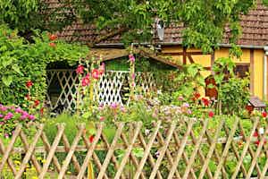 Garden Design And Landscaping!