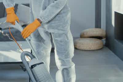 Domestic Carpets