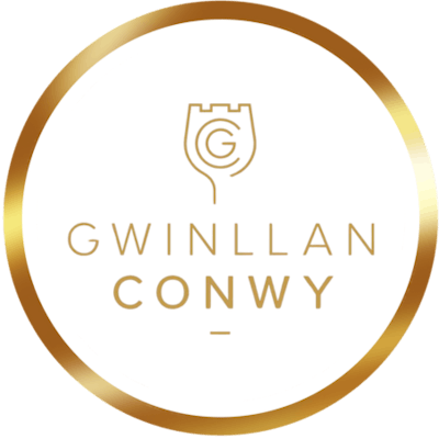 Gwinllan Conwy Vineyard