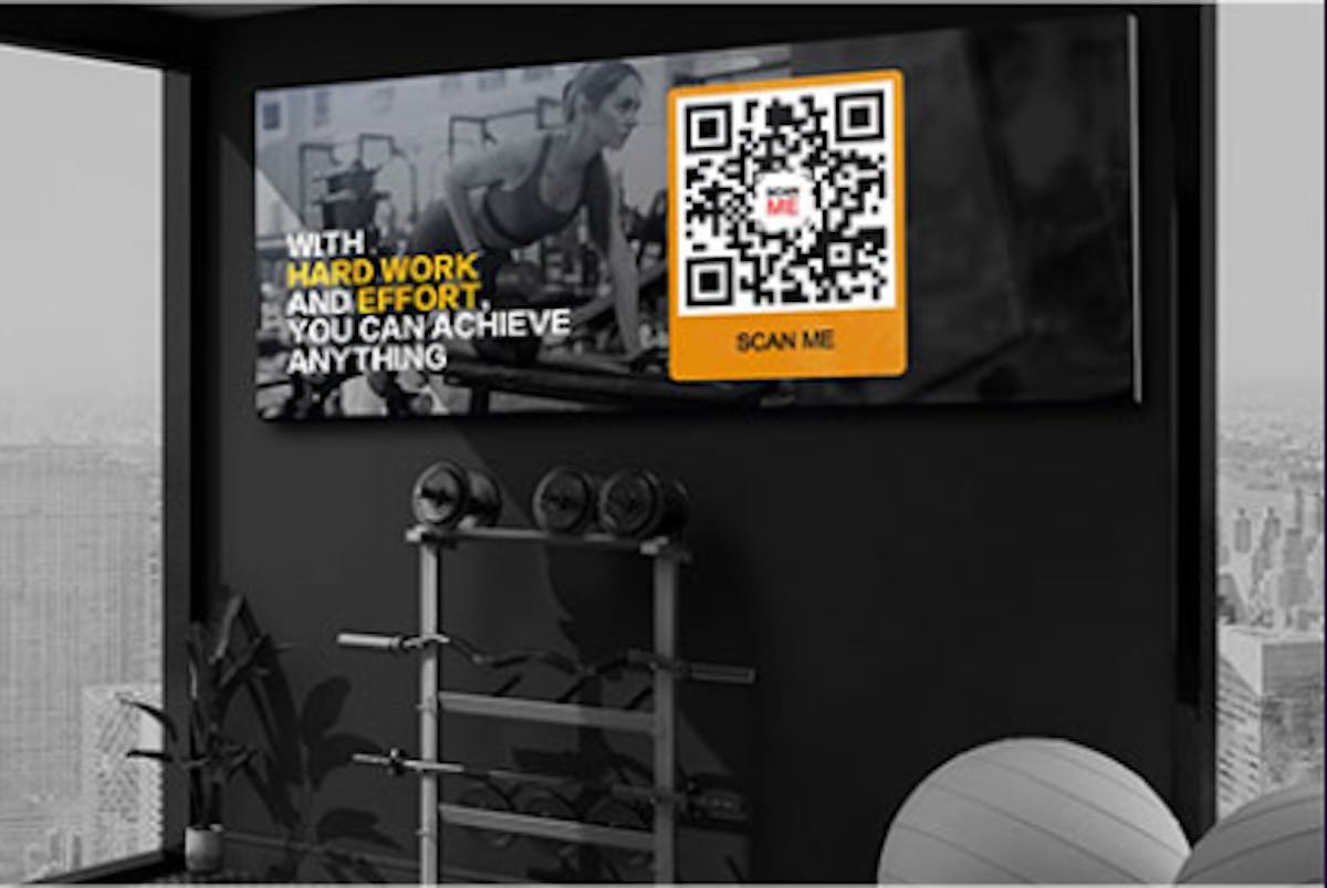 Gyms & Fitness