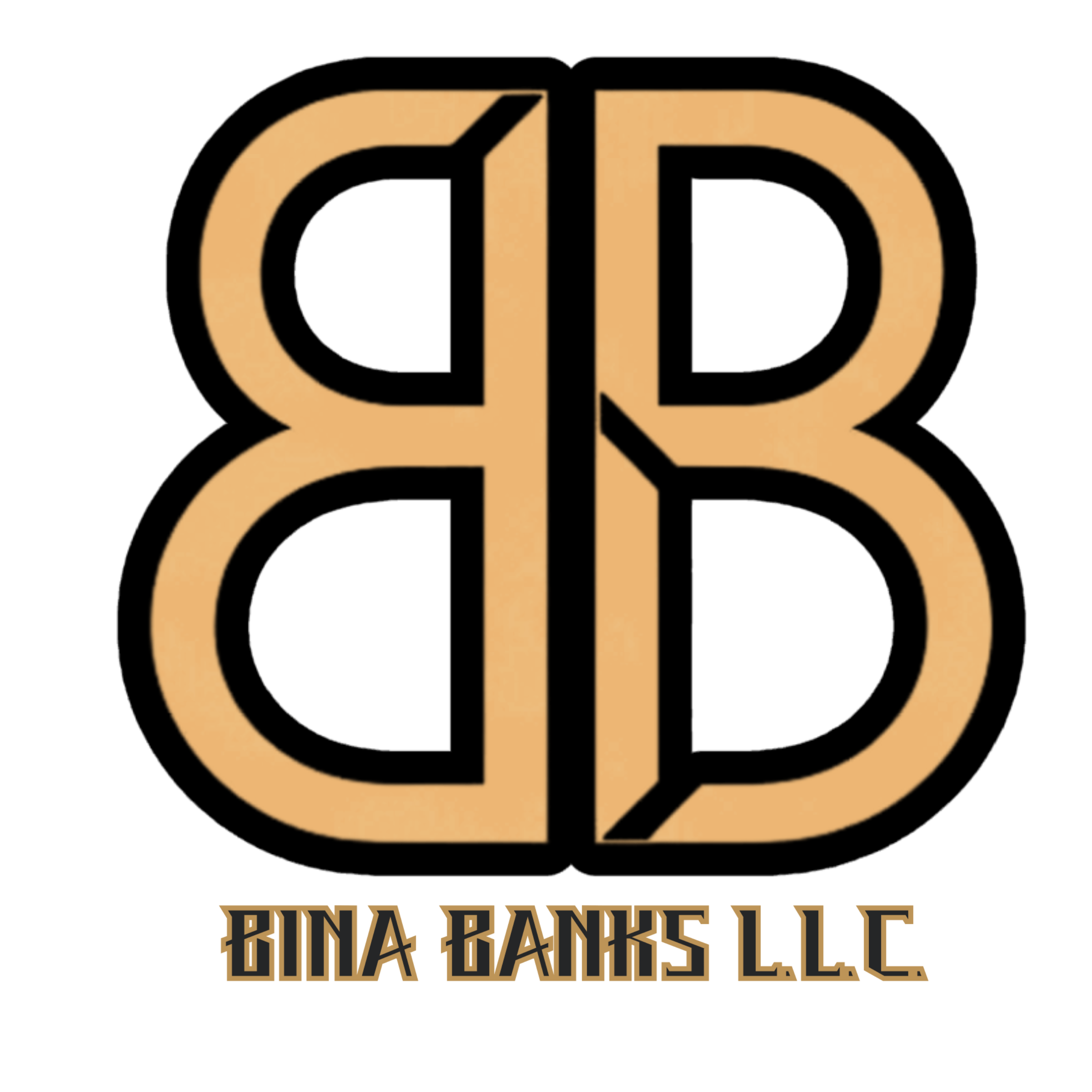 Bina Banks LLC Logo