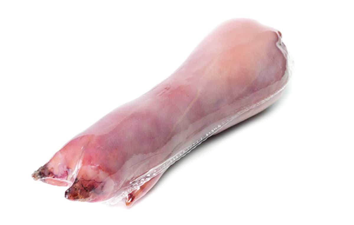 Zampone