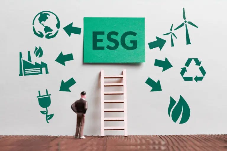 ESG for Small Business: Northern Rivers Sustainability Guide
