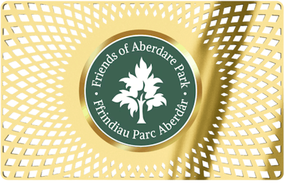 Aberdare Park