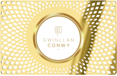 Gwinllan Conwy Vineyard