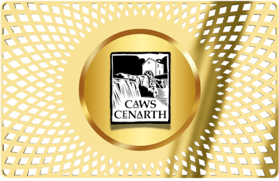 Caws Cenarth Cheese