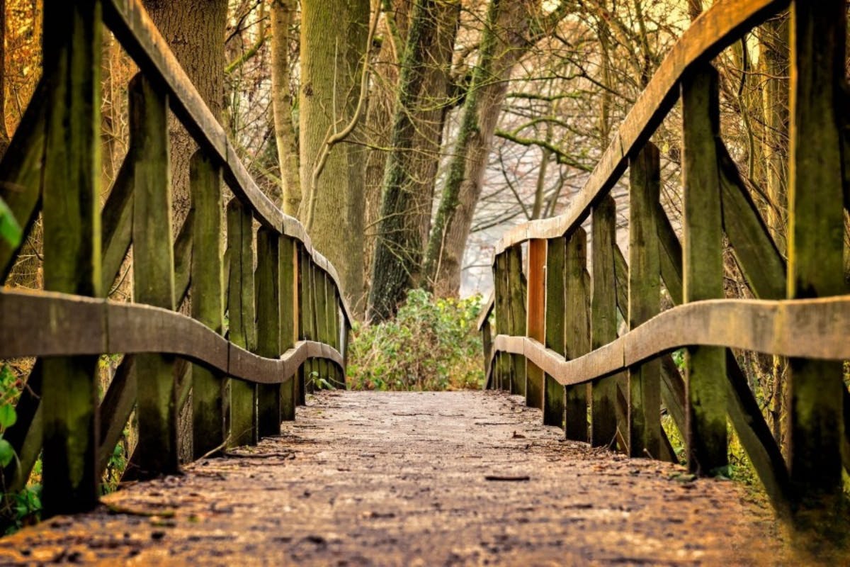 la filosofia del legno