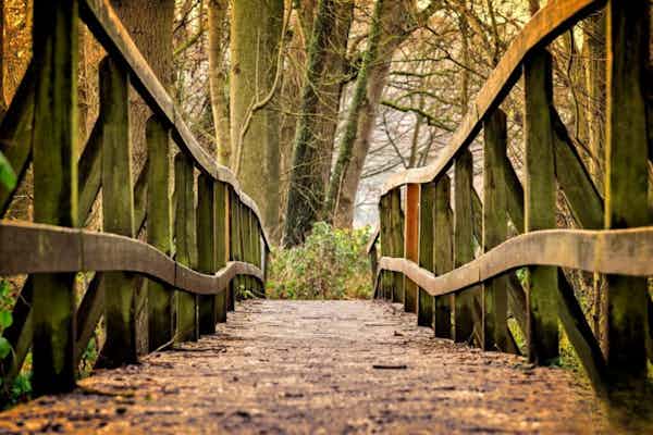 La Filosofia del Legno Quando la Materia Prima Diventa Bellezza