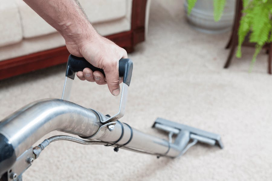 Carpet & Upholstery cleaning in Wendell
