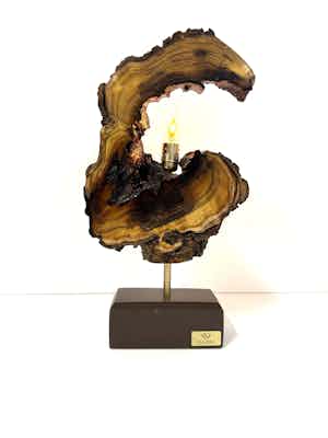 LAMPADA  N° 16