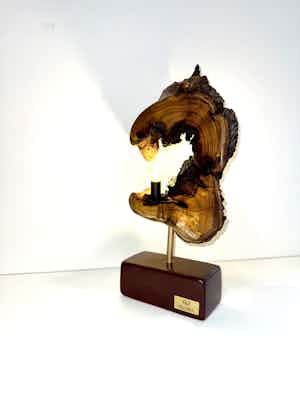 LAMPADA  N° 17